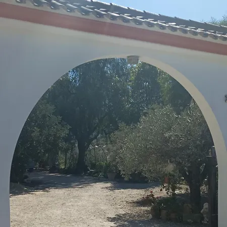 Oasis * Los Gallardos