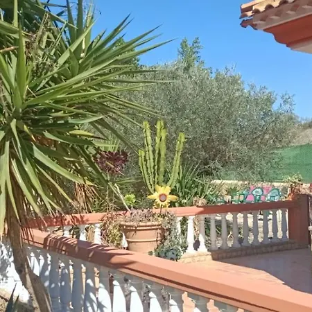 Oasis Los Gallardos